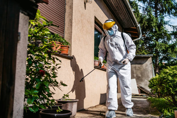 Best Cockroach Control Services  in South Charleston, WV