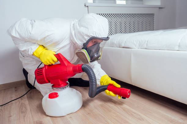 Best Best Pest Control Companies  in South Charleston, WV