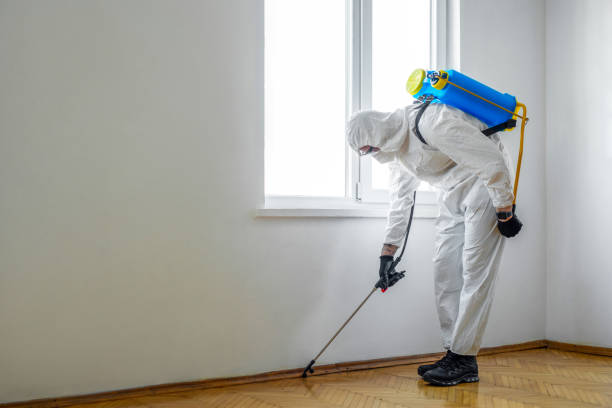 Best Pest Prevention Services  in South Charleston, WV