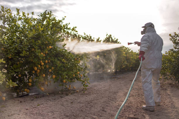 Best Pest Control Near Me in South Charleston, WV