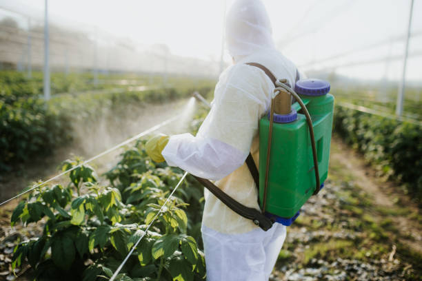 Best Insect Control  in South Charleston, WV